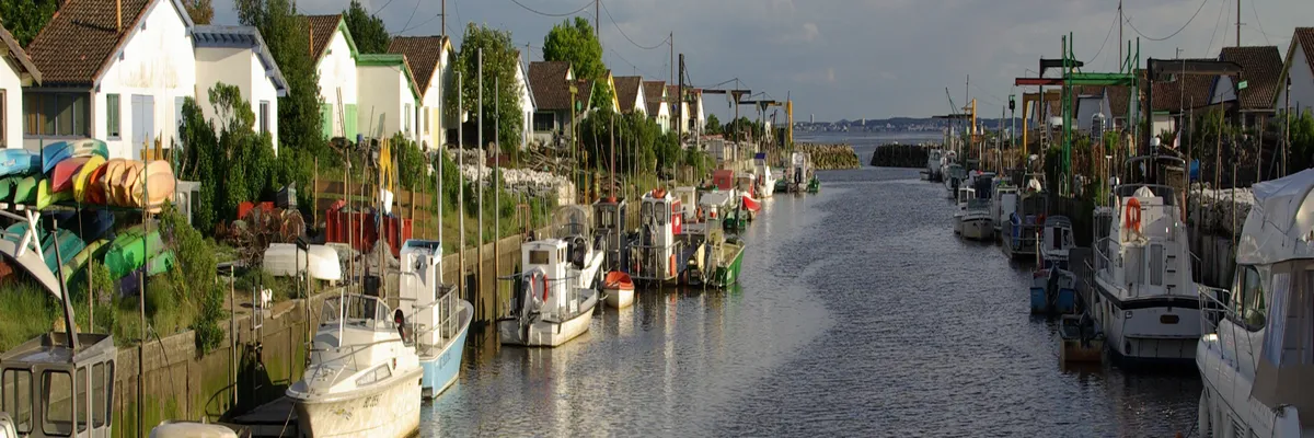 Image Découpe laser Arès