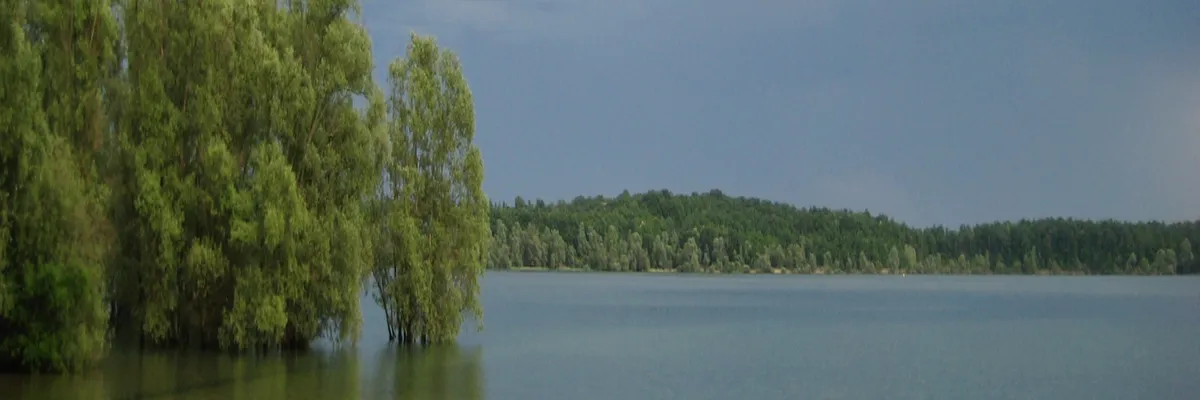 Image Découpe laser Aube