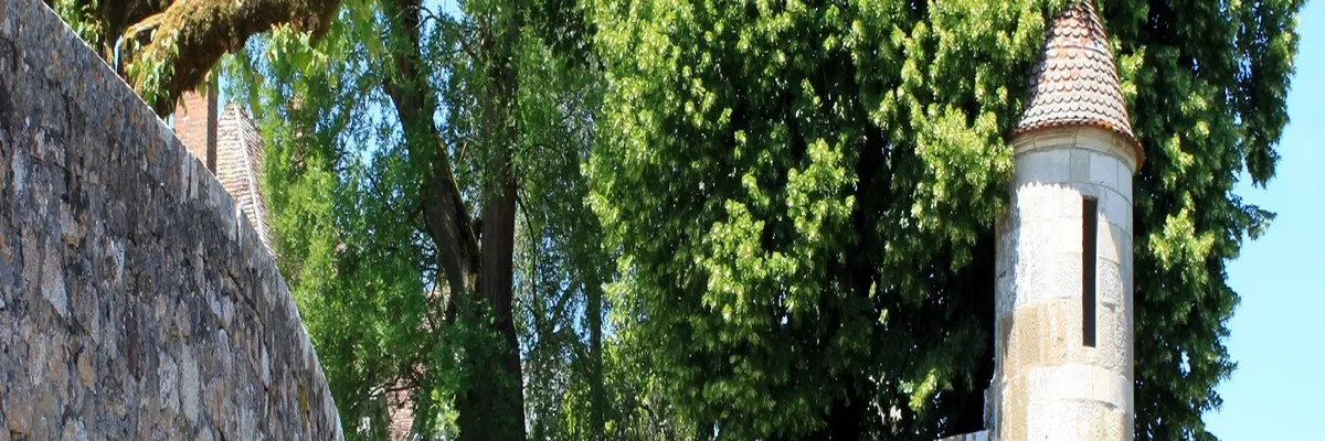 image-decoupe-laser-avallon.webp Image Découpe laser Avallon