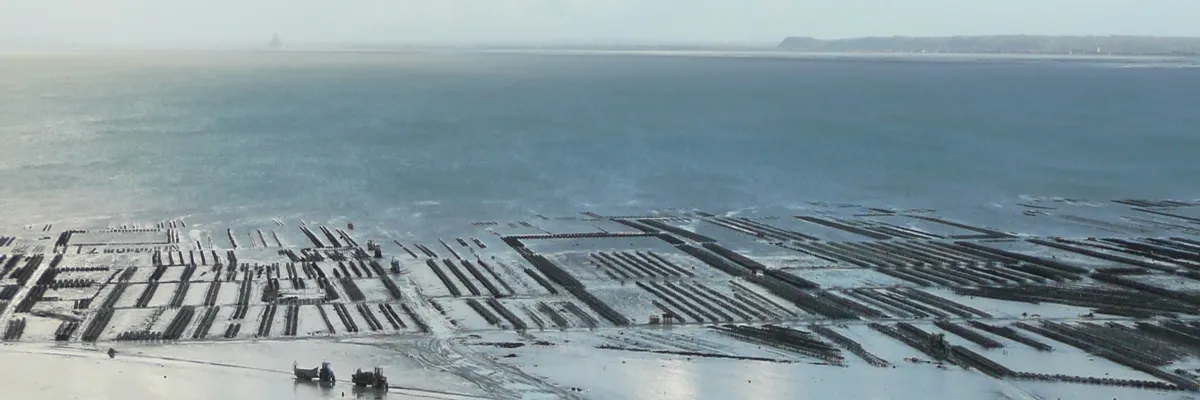 Image Découpe laser Cancale