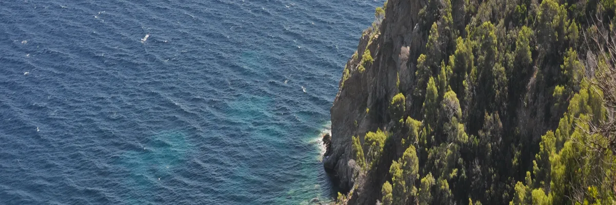 Image Découpe laser Cavalaire-sur-Mer