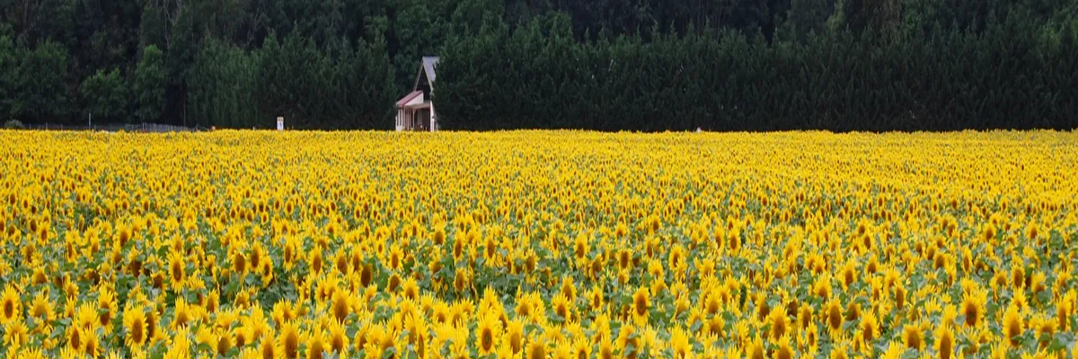 Image Découpe laser Centre-Val de Loire