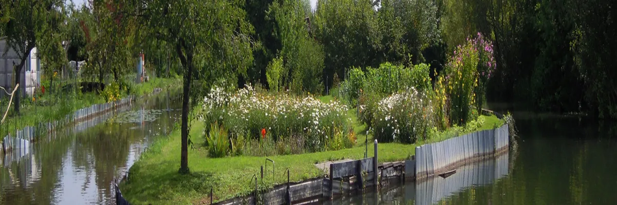 image-decoupe-laser-cher.webp Image Découpe laser Cher