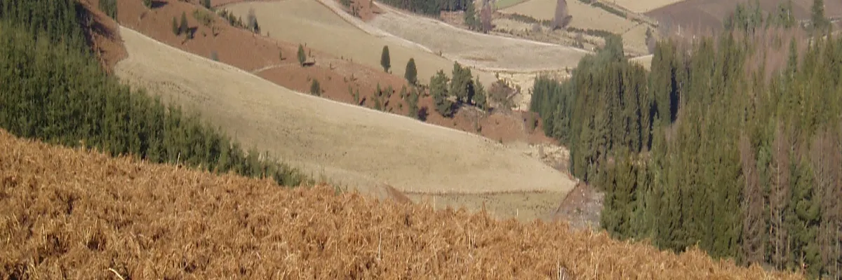 Image Découpe laser Creuse