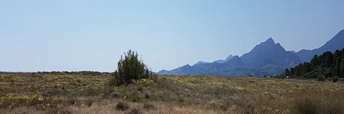 Image Découpe laser Elne