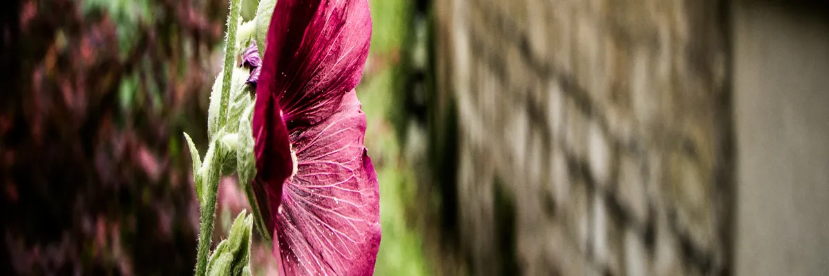 Image Découpe laser Éragny