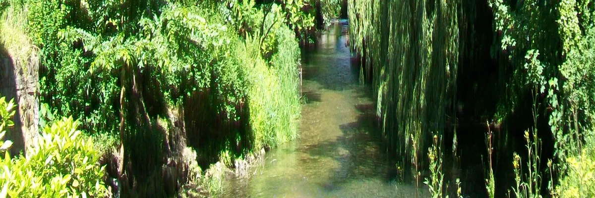 Image Découpe laser Gouvieux