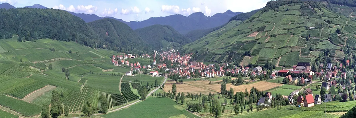 Image Découpe laser Grand Est