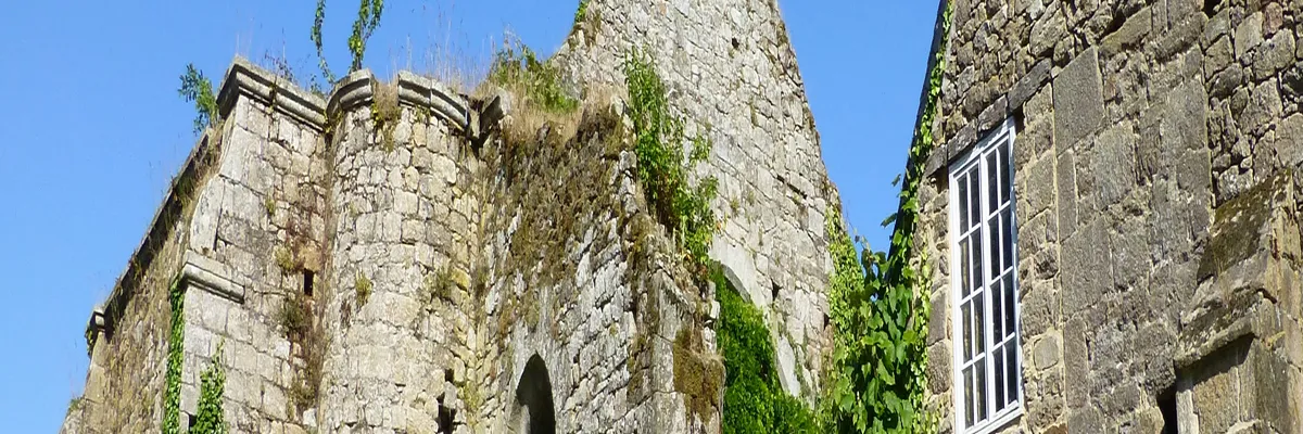 Image Découpe laser Guingamp