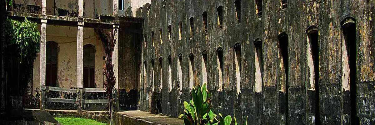 Image Découpe laser Guyane