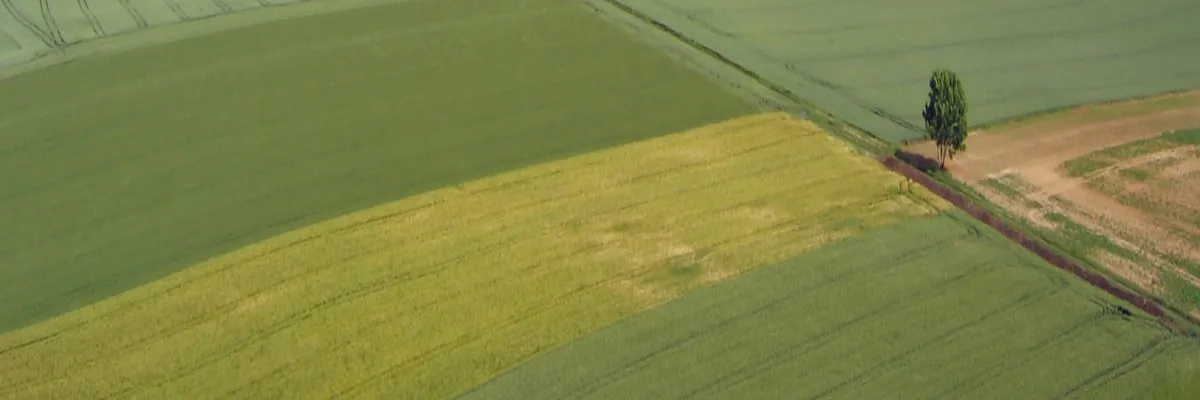 Image Découpe laser Hauts-de-France