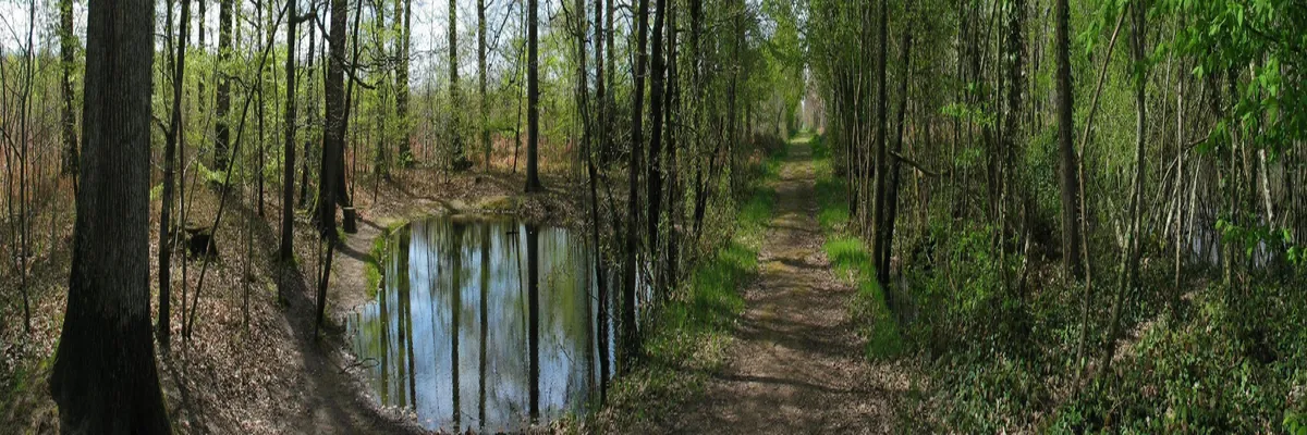 image-decoupe-laser-indre.webp Image Découpe laser Indre