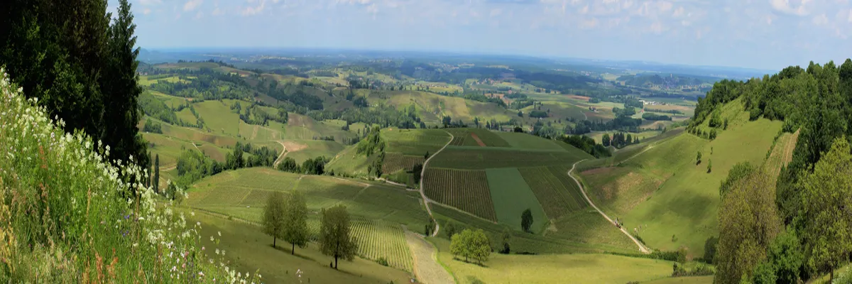 Image Découpe laser Jura