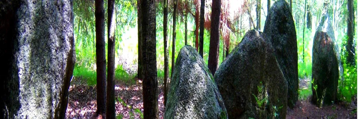 Image Découpe laser Languidic