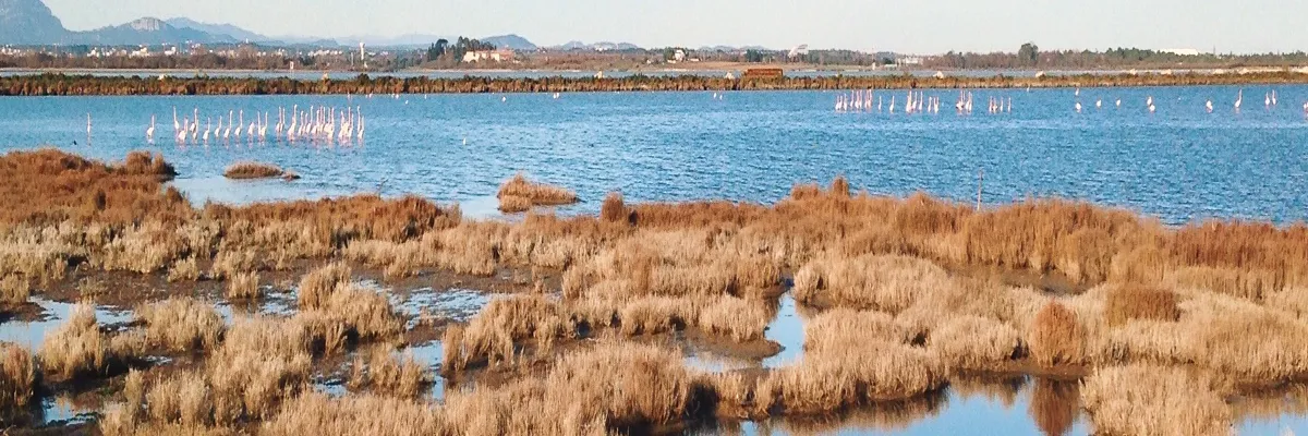 image-decoupe-laser-lattes.webp Image Découpe laser Lattes