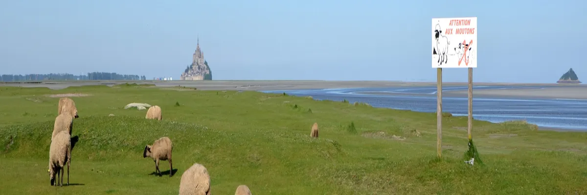 Image Découpe laser Manche