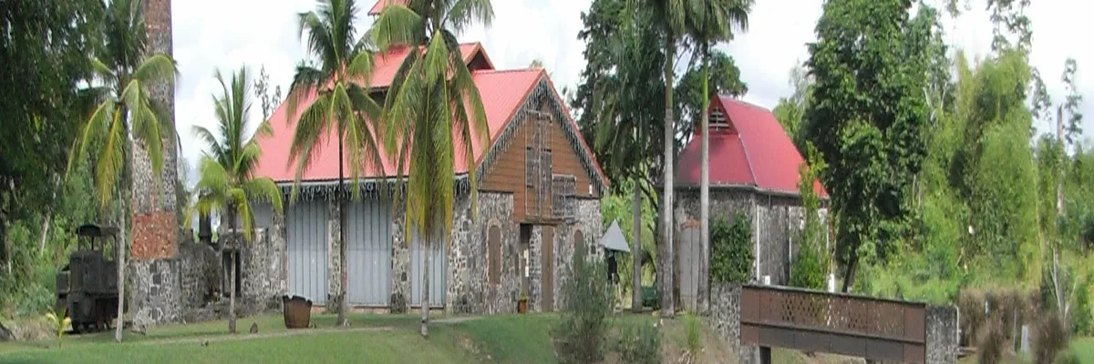 Image Découpe laser Martinique