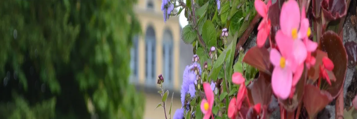 Image Découpe laser Saint-Étienne-au-Mont