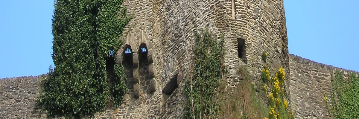 image-decoupe-laser-saint-lo.webp Image Découpe laser Saint-Lô