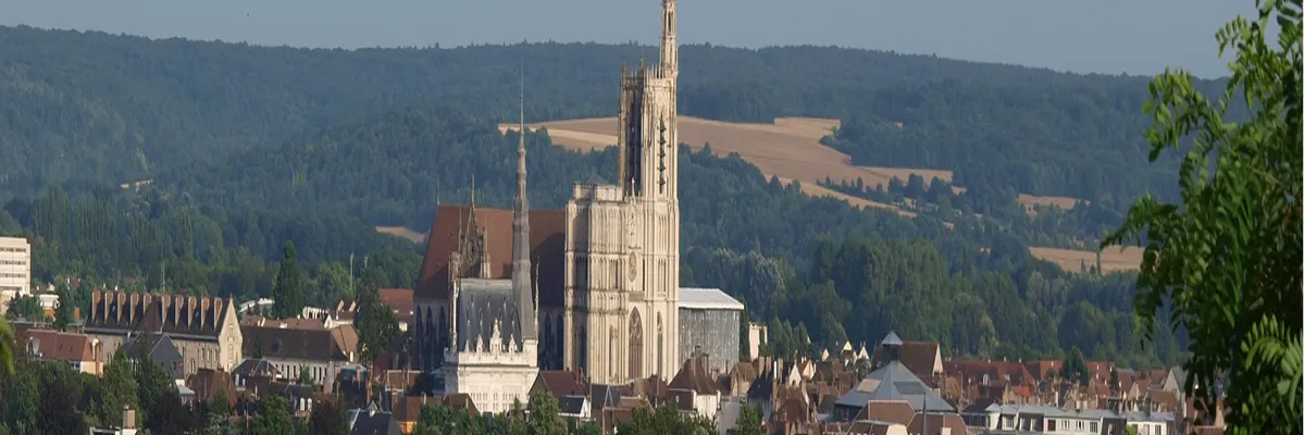 image-decoupe-laser-sens.webp Image Découpe laser Sens