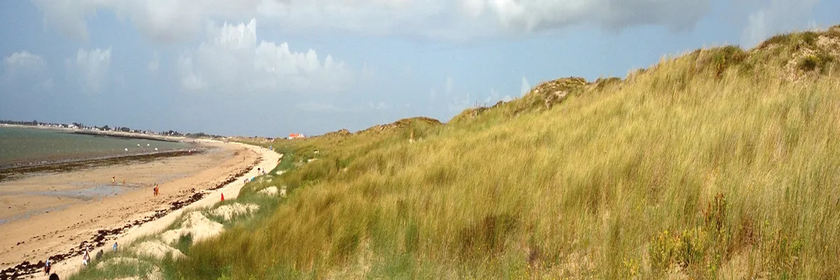 image-decoupe-laser-vendee.webp Image Découpe laser Vendée