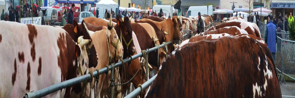 Image Découpe laser Yvetot