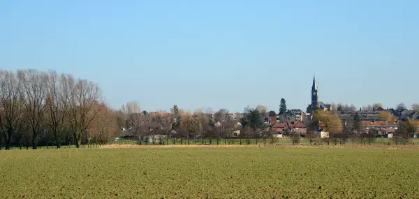 Découpe Laser Pro Découpe laser Halluin