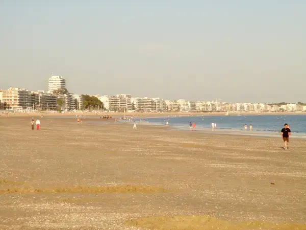 Découpe Laser Pro Découpe laser La Baule-Escoublac