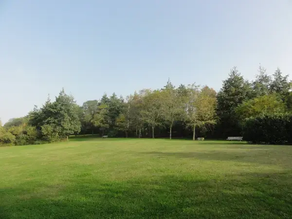 Découpe Laser Pro Découpe laser Montigny-en-Gohelle