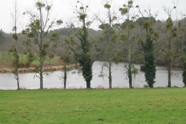 Découpe Laser Pro Découpe laser Muzillac