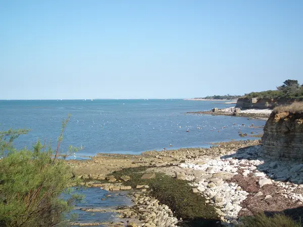 Découpe Laser Pro Découpe laser Nouvelle-Aquitaine