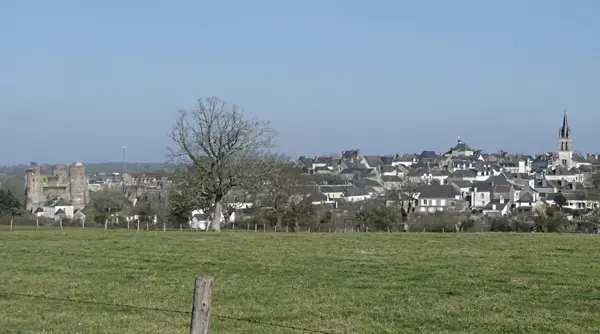 Découpe Laser Pro Découpe laser Ombrée d'Anjou