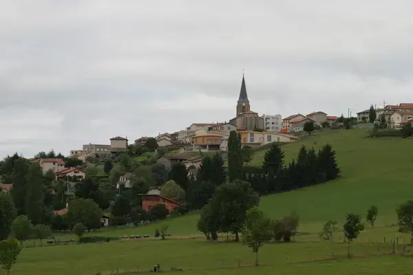 Découpe Laser Pro Découpe laser Saint-Christo-en-Jarez