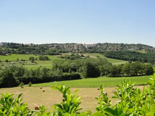 Découpe Laser Pro Découpe laser Saint-Genest-Lerpt