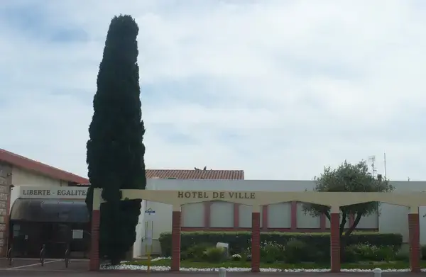 Découpe Laser Pro Découpe laser Saleilles